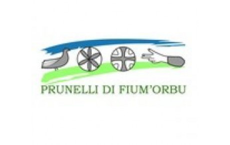 La site de la Commune de Prunelli di Fiumorbu